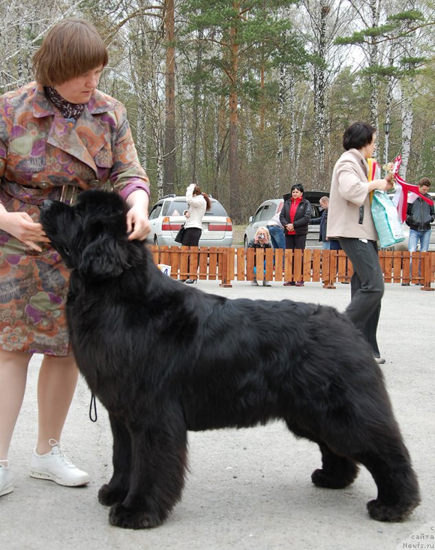 Фотография № 181457