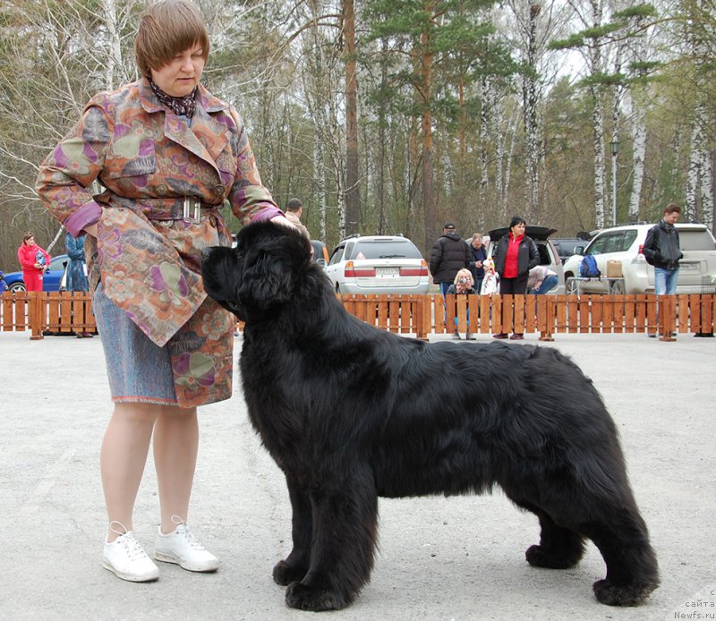 Фотография № 181458