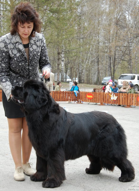 Фотография № 181459