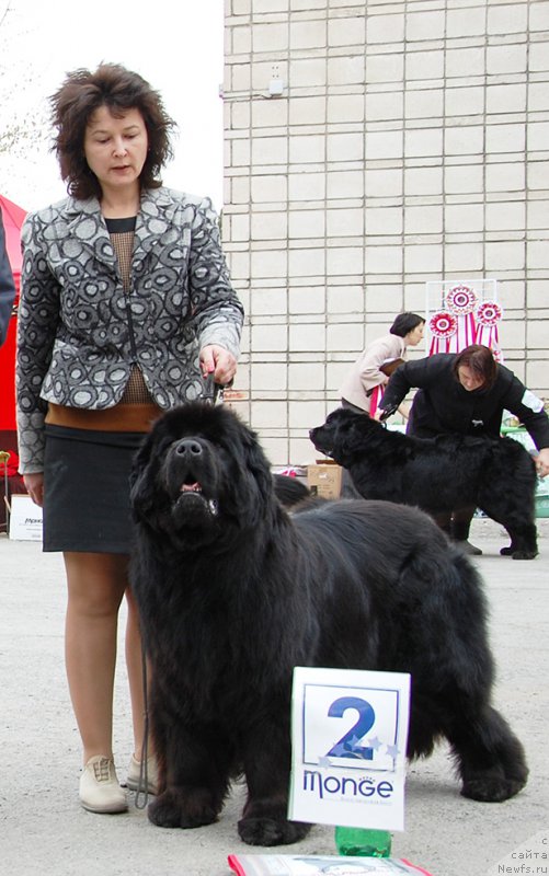 Фотография № 181460