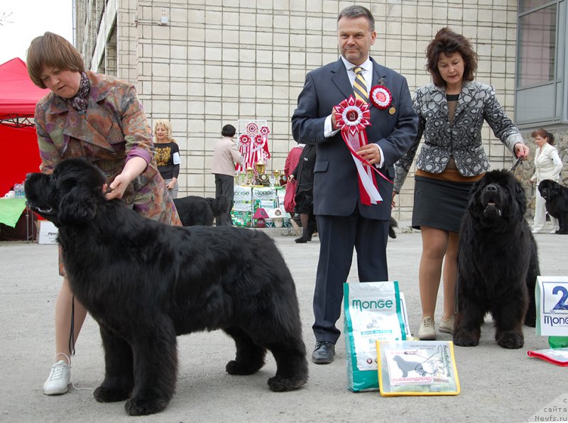 Фотография № 181461