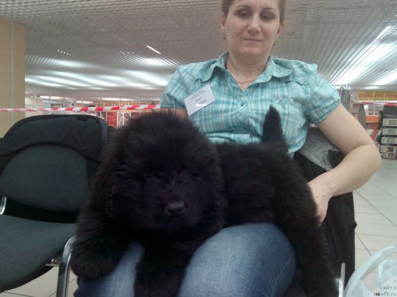 Фотография № 181480