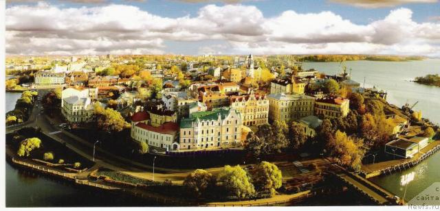 Фотография № 18149