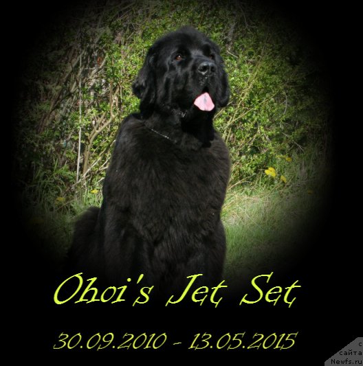 Фотография № 181492