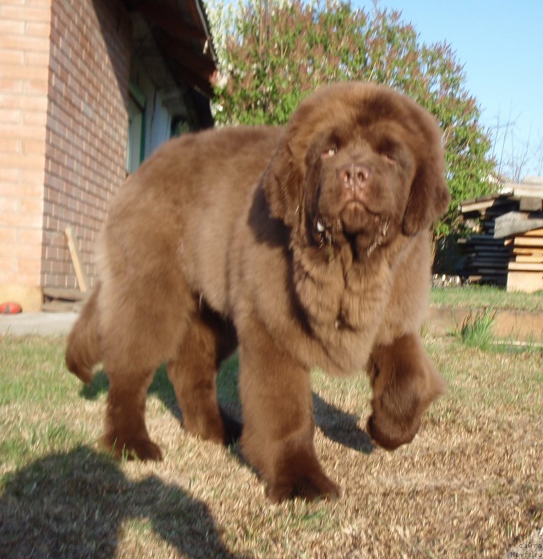 Фотография № 181511