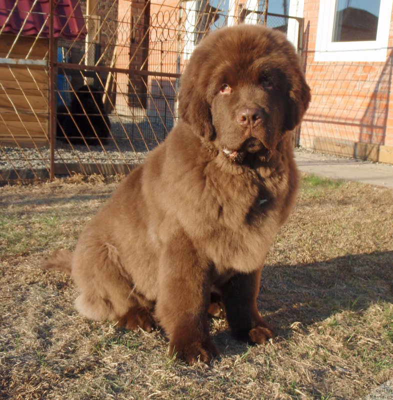 Фотография № 181512