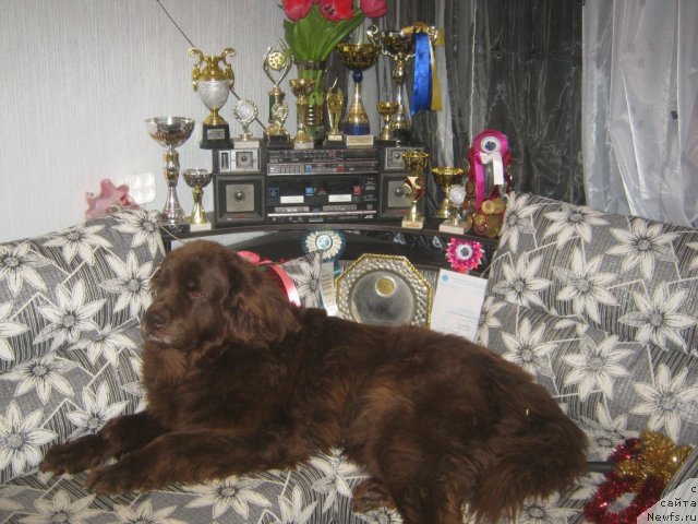 Фотография № 181530