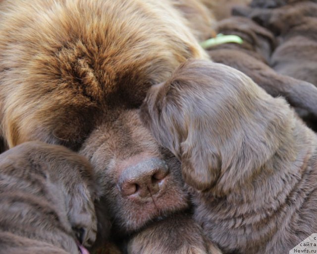 Фотография № 181531