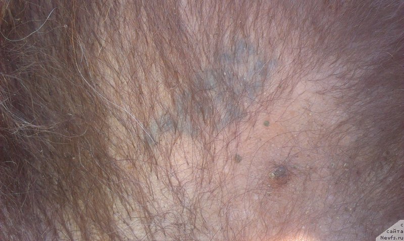 Фото: Наталья Смазчикова