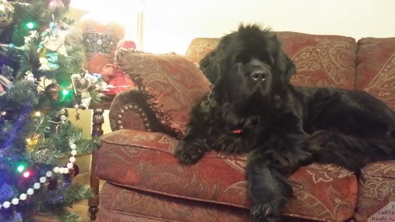 Фотография № 181551