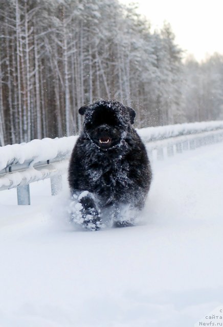 Фотография № 181554