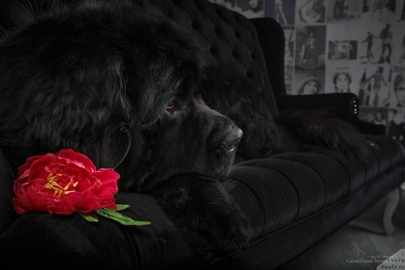 Фотография № 181570