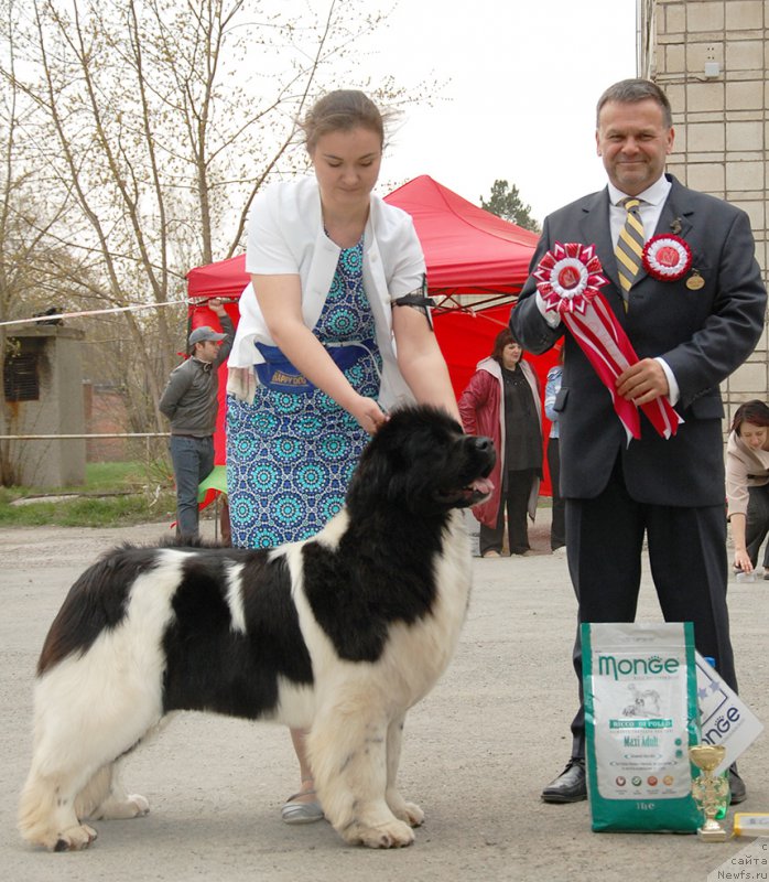 Фотография № 181596