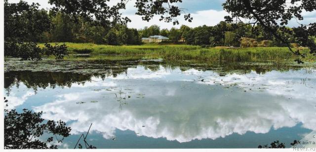 Фотография № 18161