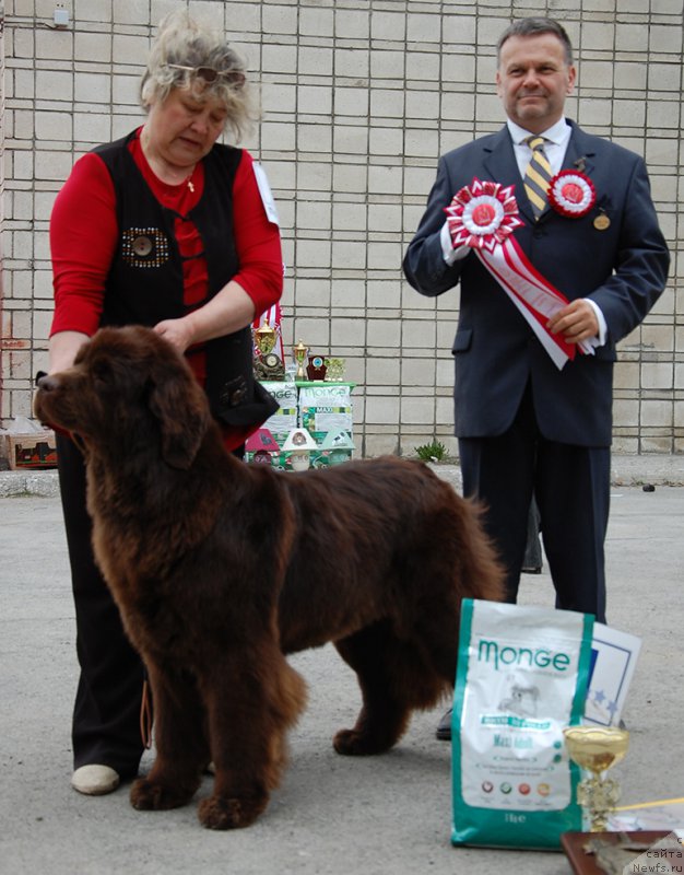 Фотография № 181613