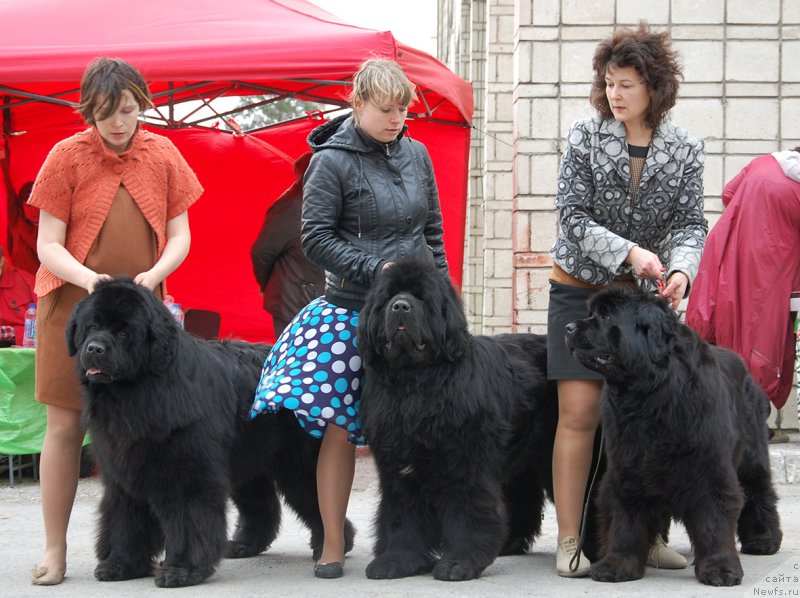 Фотография № 181617