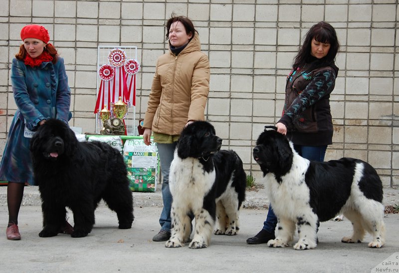 Фотография № 181618