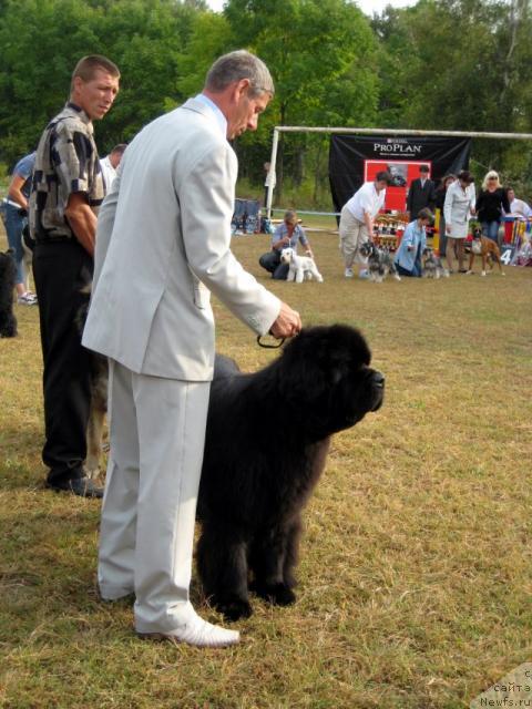 Фотография № 18163