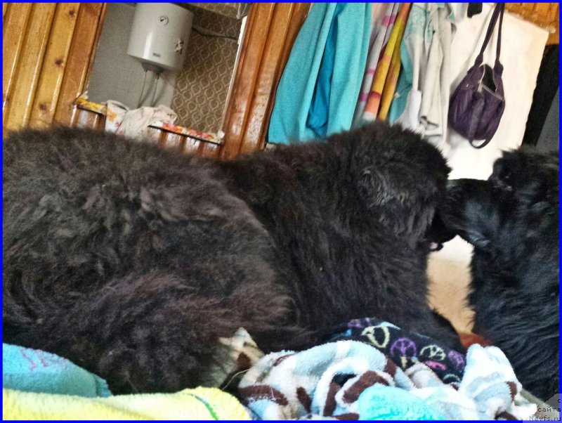 Фотография № 181652