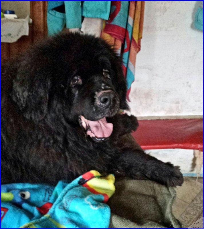 Фотография № 181655