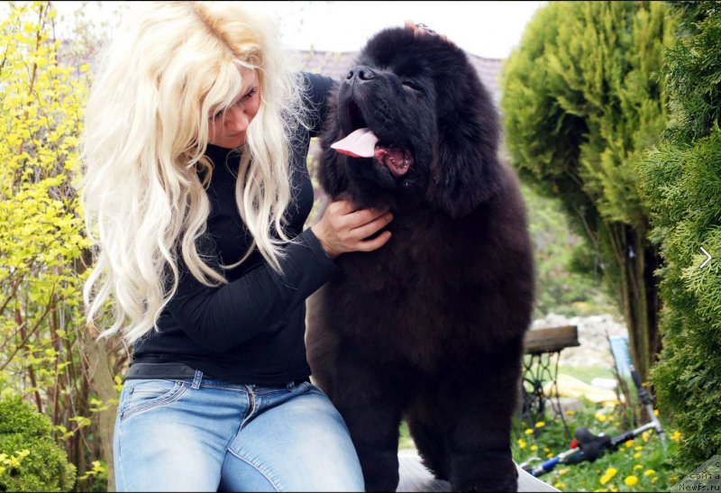 Фотография № 181705