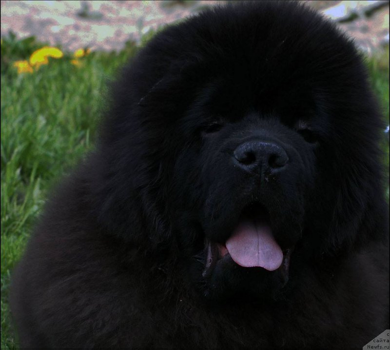 Фотография № 181709