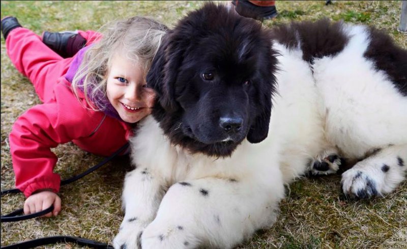 Фотография № 181716