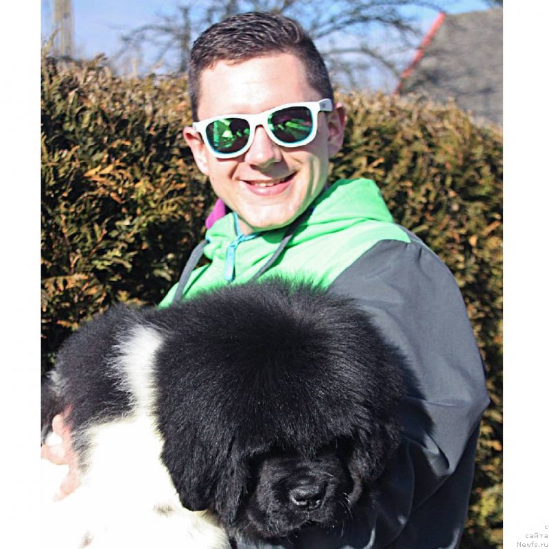 Фотография № 181721