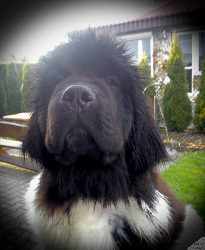 Фотография № 181722