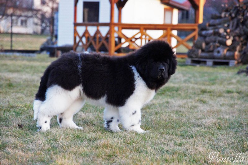 Фотография № 181723