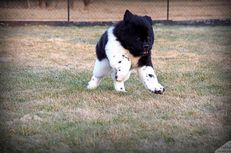 Фотография № 181724