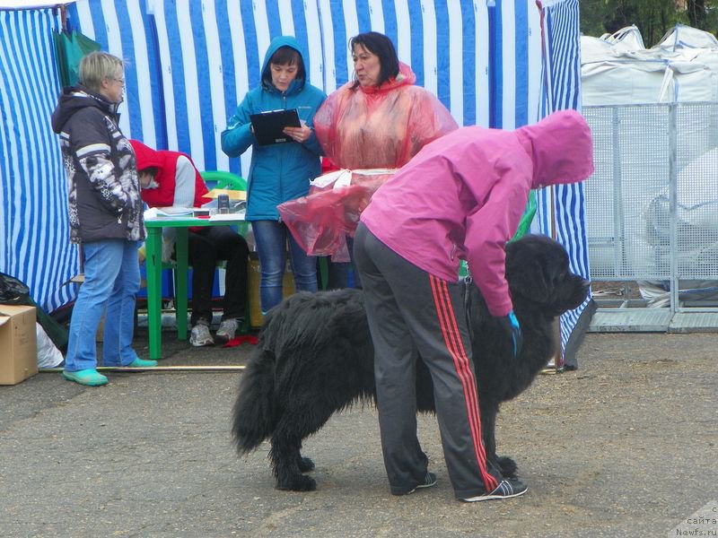 Фотография № 181727