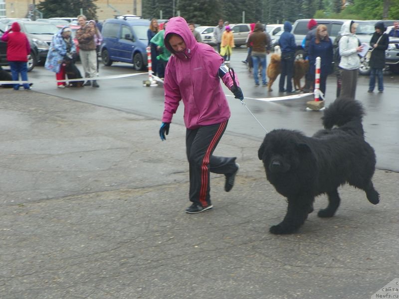 Фотография № 181728