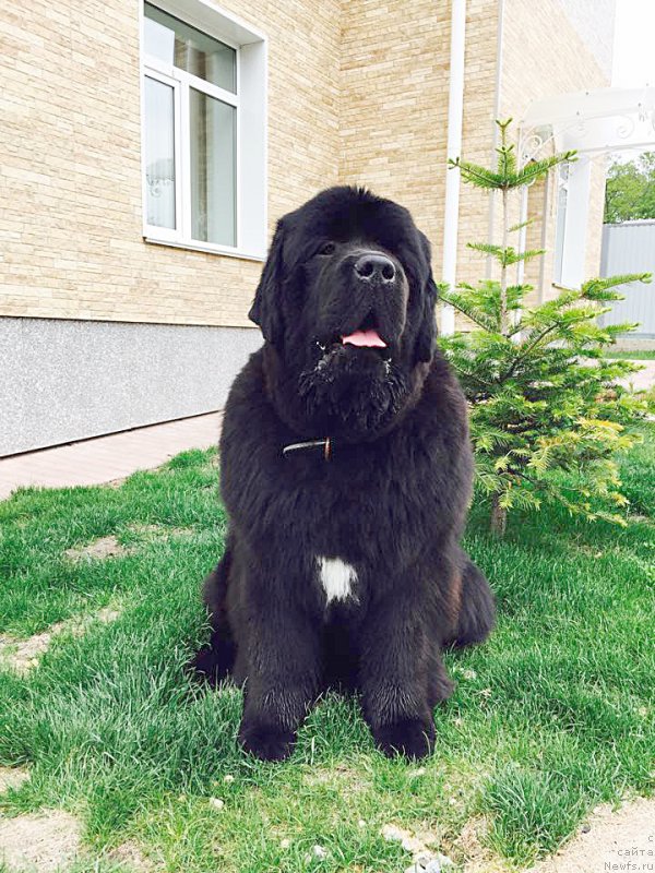 Фото: Бегущая по волнам Чек Пойнт