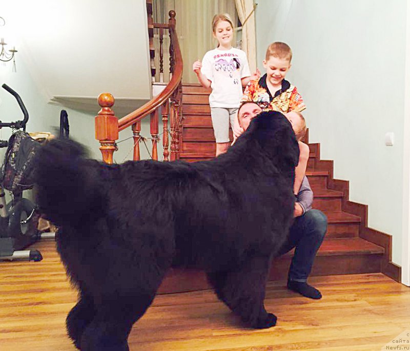 Фото: Бегущая по волнам Чек Пойнт