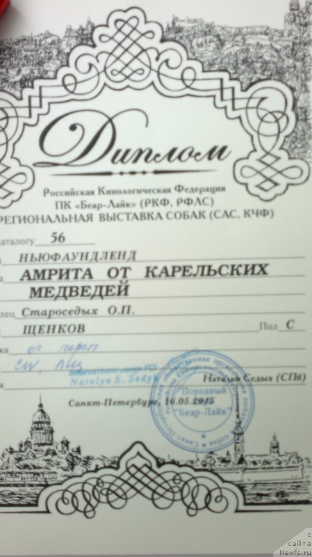 Фотография № 181739