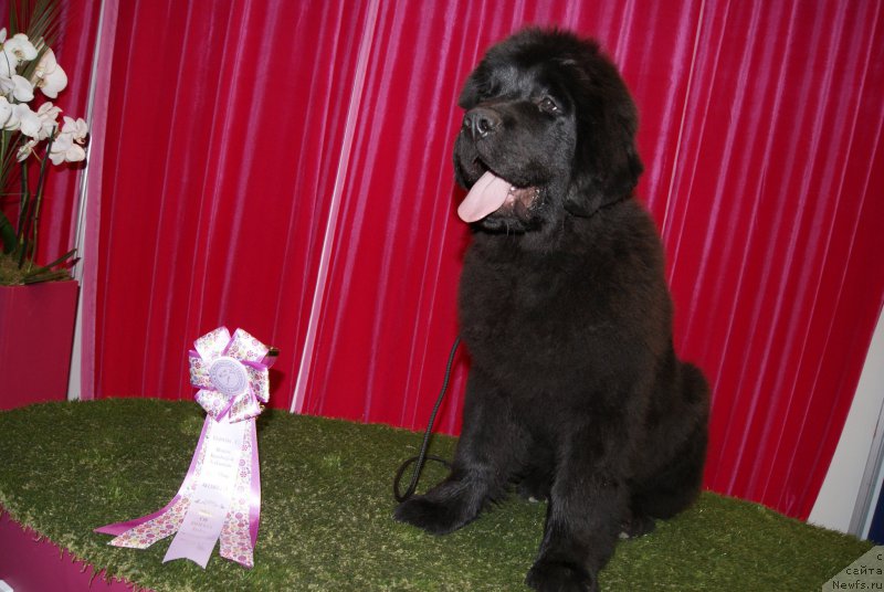 Фотография № 181744