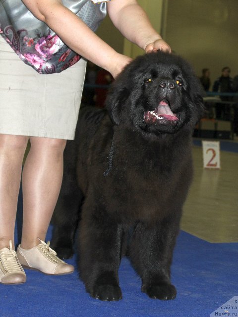 Фотография № 181747