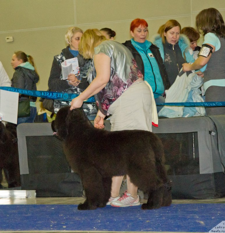 Фотография № 181748