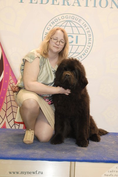 Фотография № 181749