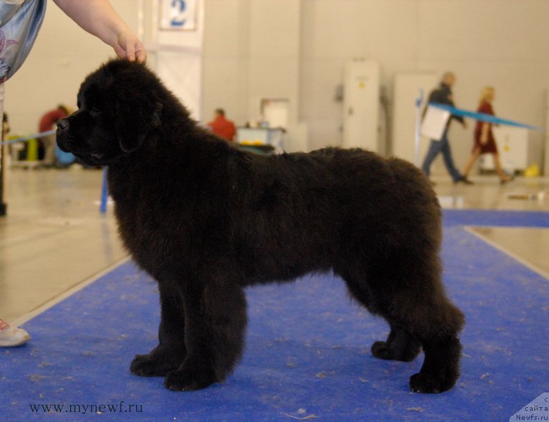 Фотография № 181750