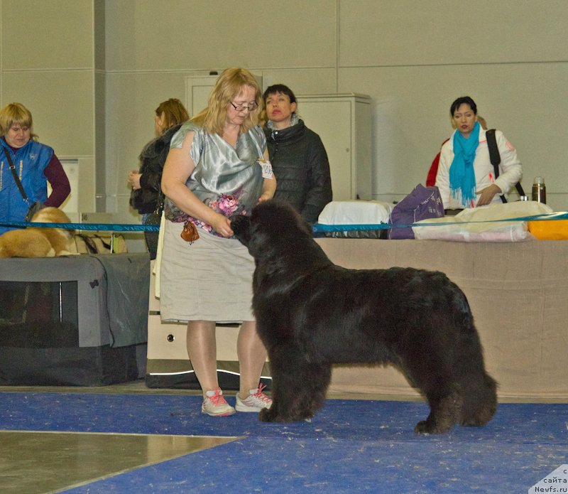 Фотография № 181757