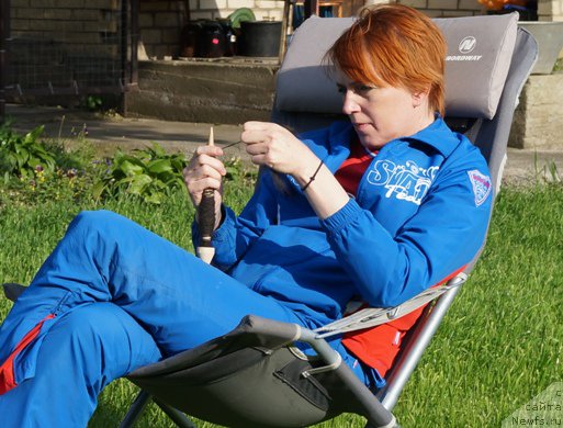 Фото: Елена Кирпа