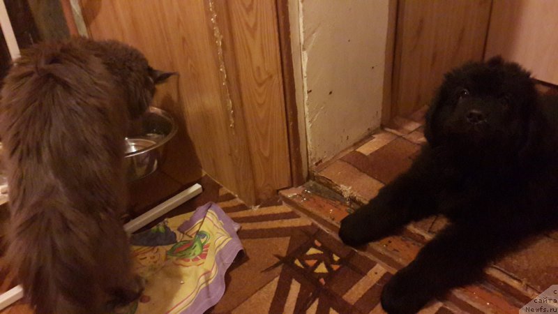 Фотография № 181783