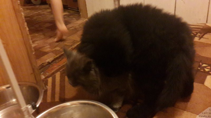 Фотография № 181787