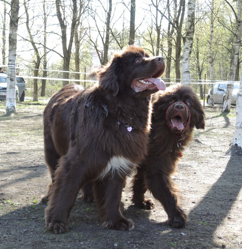 Фотография № 181794