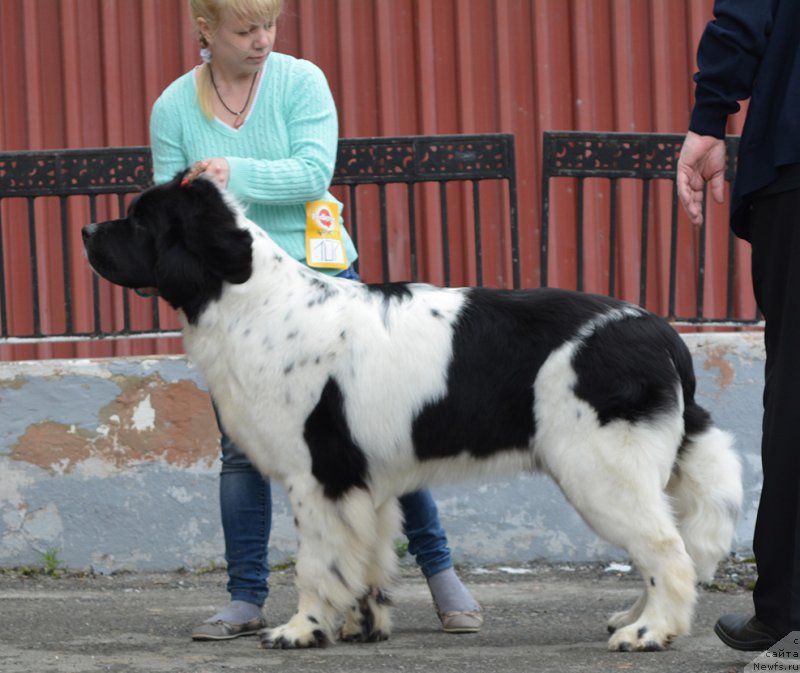 Фотография № 181796