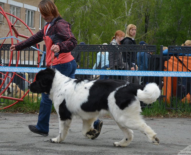 Фотография № 181797