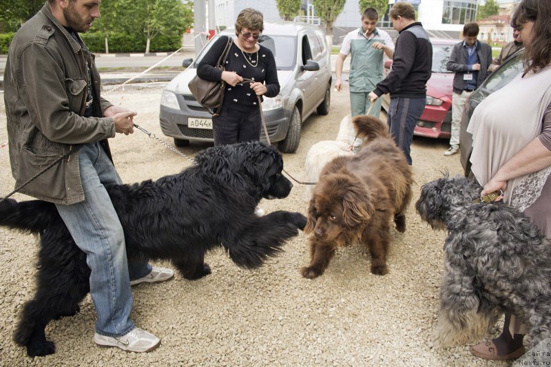 Фотография № 181799