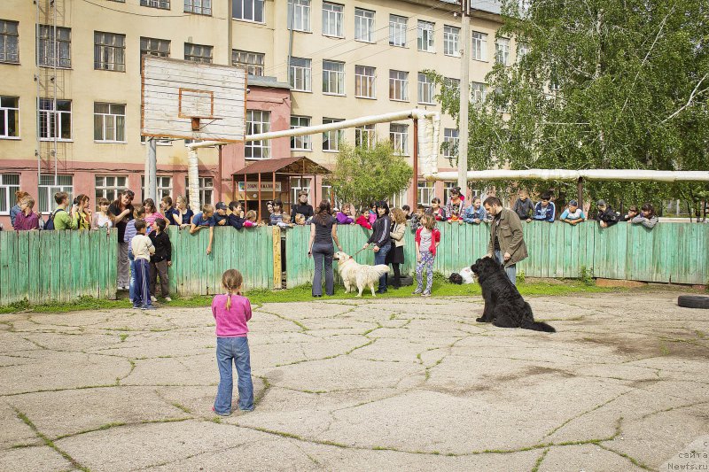 Фотография № 181803